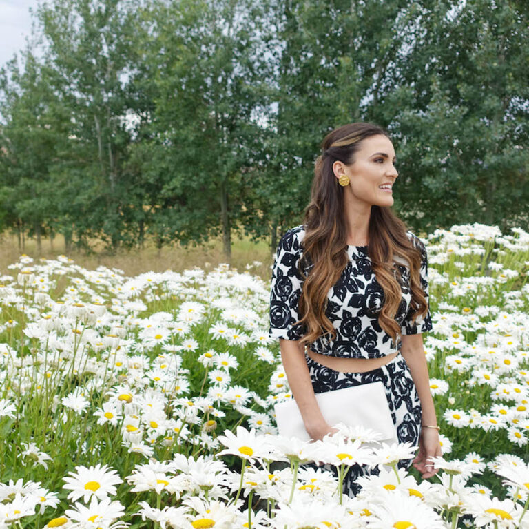 Field of Daisies + Fall Floral
