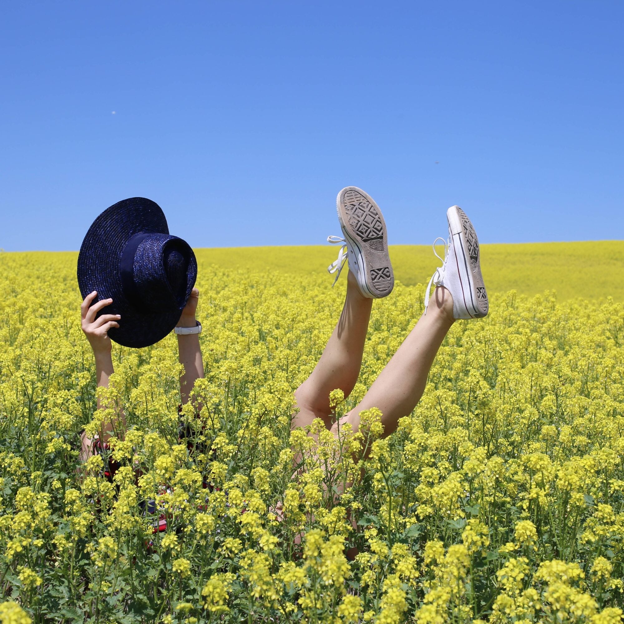 Fields of Alfalfa + Road Tripin’ + Country Girl