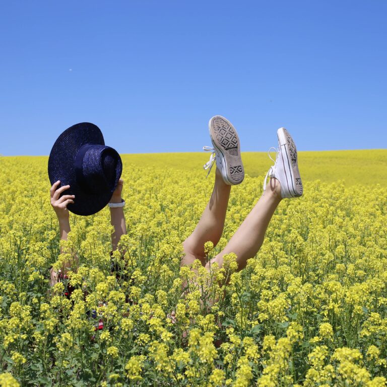 Fields of Alfalfa + Road Tripin’ + Country Girl