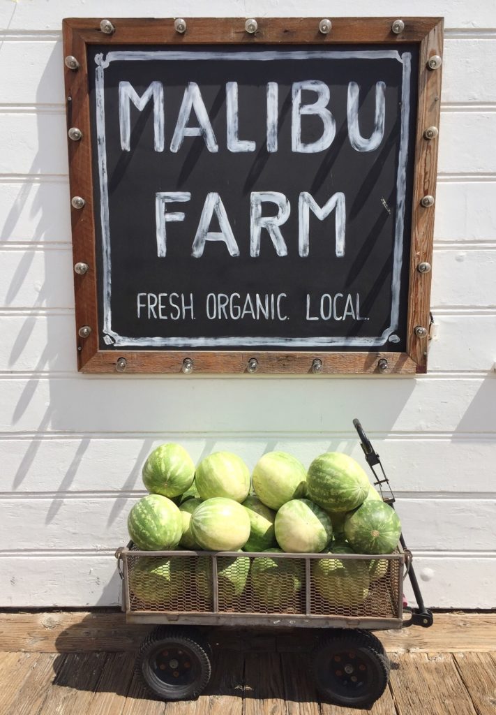 malibu travel guide