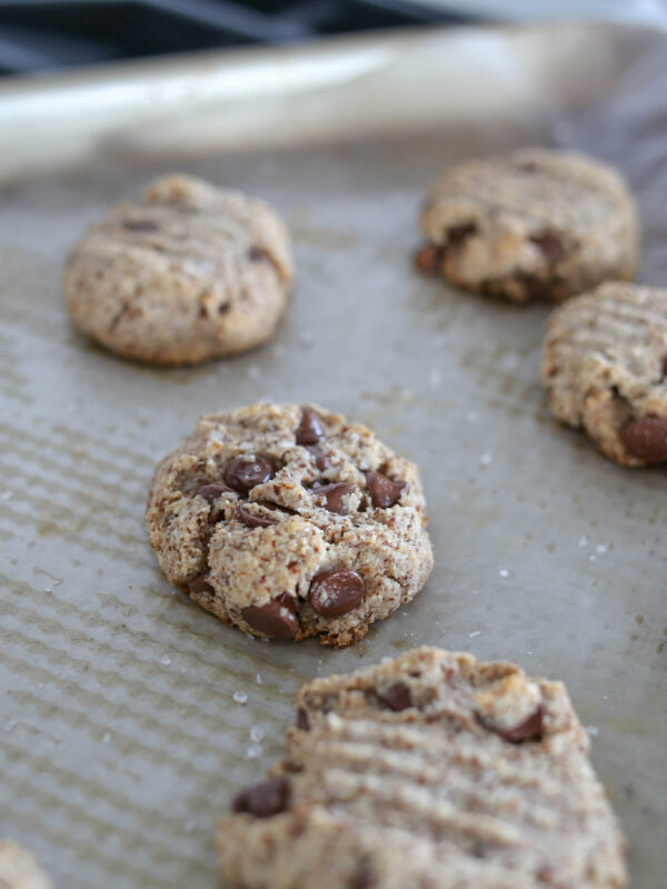 healthy chocolate chip coconut cookies