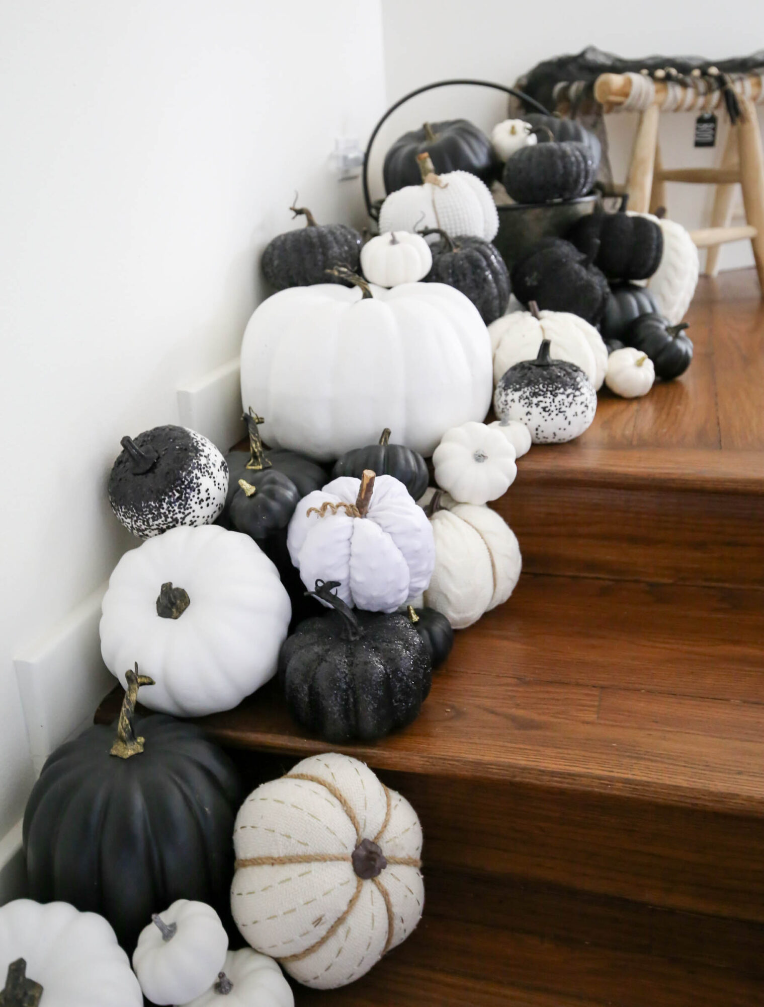 halloween bats and pumpkins
