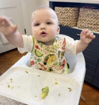 baby lead weaning