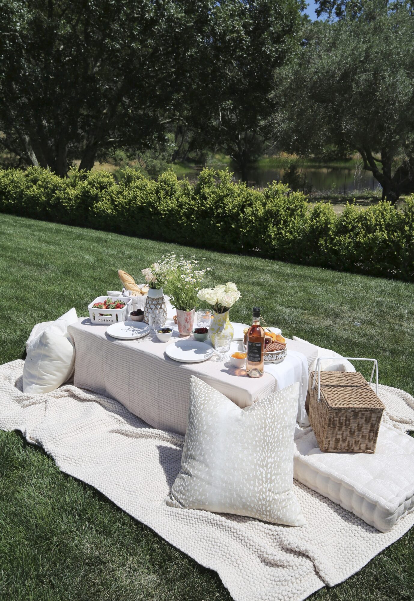 outdoor picnic setup 
