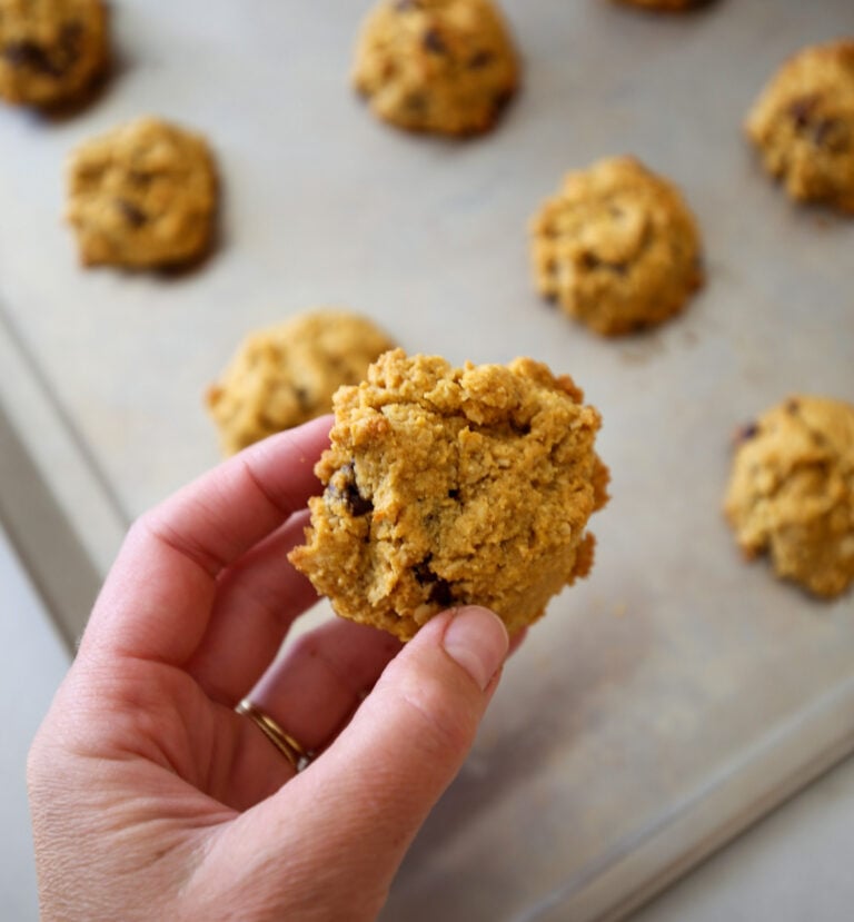 Soft Gluten Free Pumpkin Cookies